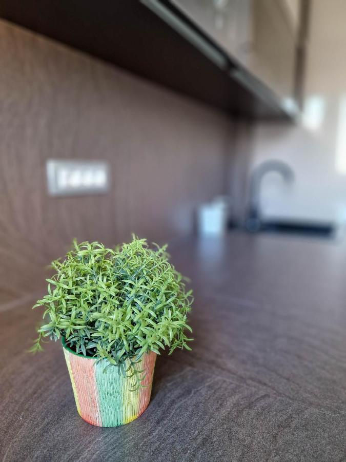 Villa Poseidon 诺瓦利娅 外观 照片